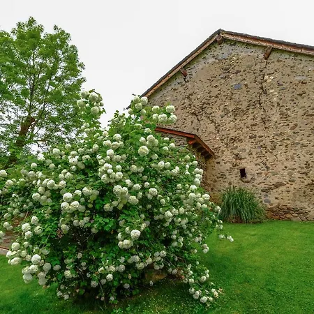 Torre Gelbert-3